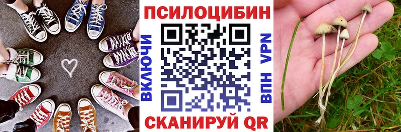 Псилоцибиновые грибы MAGIC MUSHROOMS  Грязи 